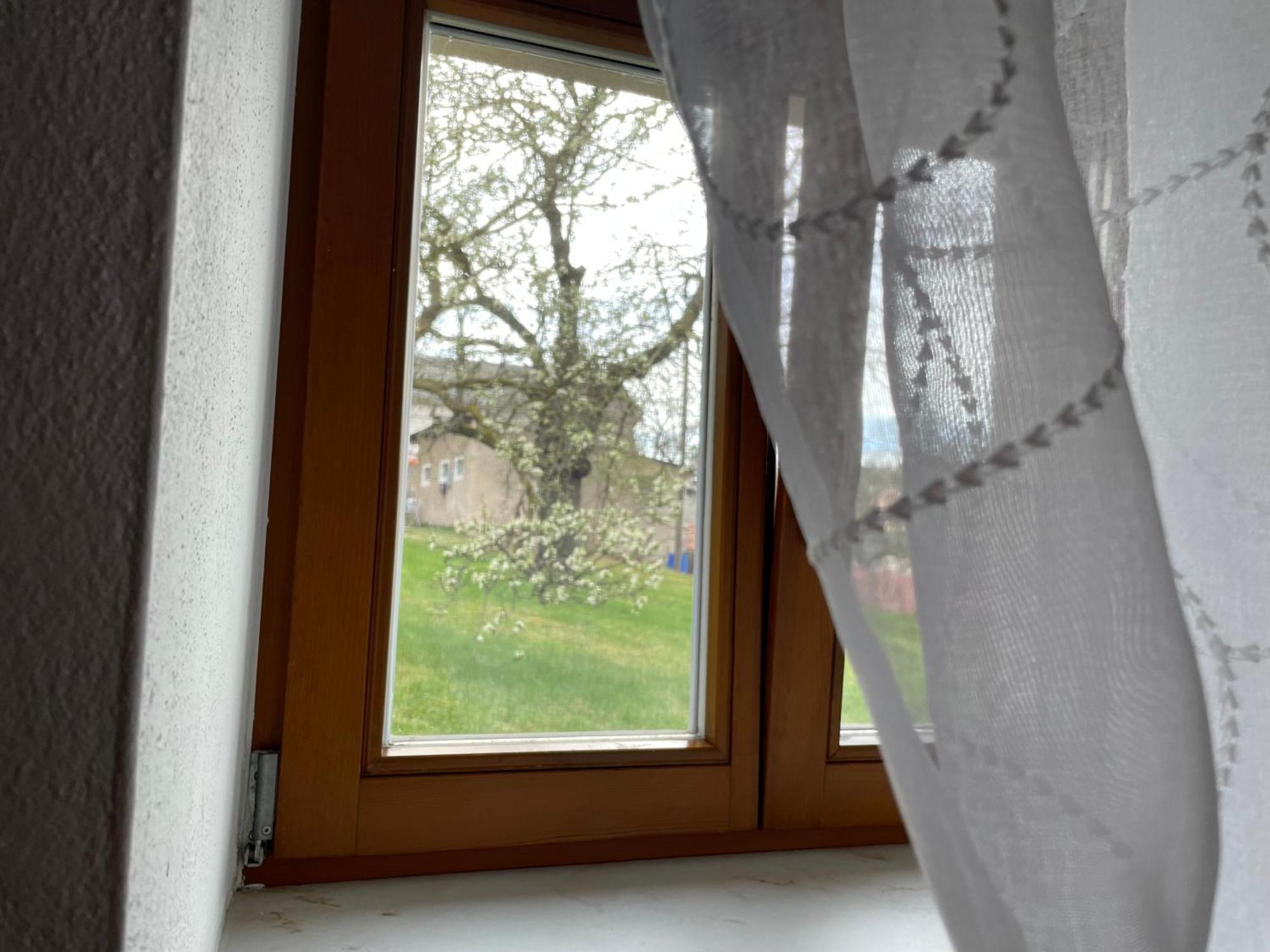 Energietanken Vor Den Toren Dresdens -Barrierefrei- Dippoldiswalde Extérieur photo